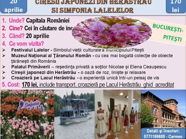 Cireșii Japonezi din Herăstrău și Simfonia Lalelelor  20 Aprilie